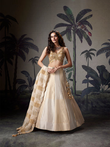 Champagne Gold Silk Zardozi Lehenga Set